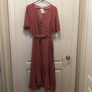 Rust Polka Dot dress